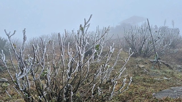 Không phải Fansipan, đây mới là đỉnh núi miền Bắc xuất hiện băng giá, khách du lịch đổ xô đến checkin