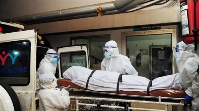 Virus Nipah xuất hiện tại Ấn Độ, Việt Nam chưa ghi nhận ca bệnh