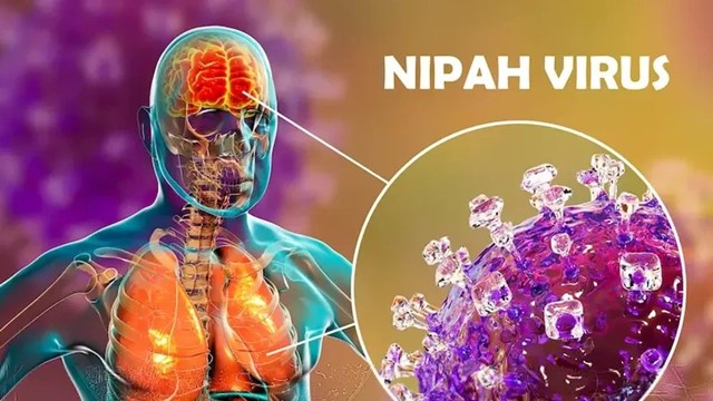Tin vui: Trung Quốc tìm ra thuốc phòng chống virus Nipah hiệu quả