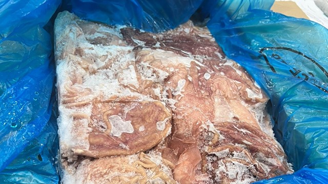 Hà Nội: Phát hiện gần 12 tấn thực phẩm đông lạnh có dấu hiệu nhập lậu