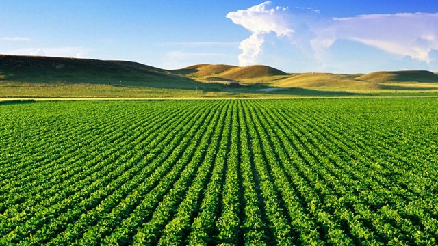Điểm mới Luật Đất đai 2024: Thu hồi đất nông nghiệp có thể được bồi thường bằng đất ở, nhà ở