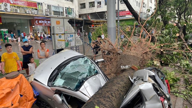 Hàng nghìn vụ tổn thất sau bão, một công ty bảo hiểm chi gần 200 tỷ đồng bồi thường