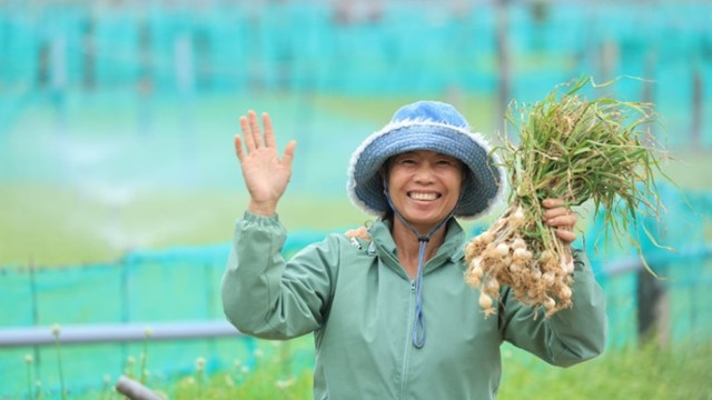 Nam Ngư cùng nông dân đảo Lý Sơn phát triển kinh tế địa phương