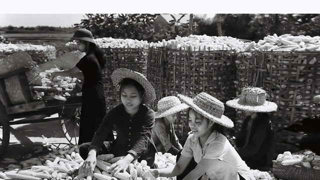 Phụ nữ trong phong trào “Ba đảm đang”: làm tròn nhiệm vụ hậu phương lớn cho tiền tuyến miền Nam