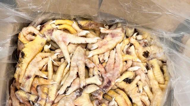 Khởi tố vụ buôn lậu chân gà đông lạnh trị giá hàng chục tỷ đồng, dấu hiệu trốn thuế hơn 7 tỷ