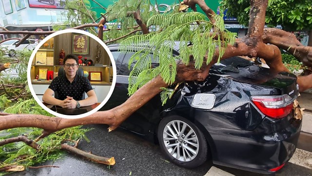 Xe bị ngập nước, cây đổ đè trong mưa bão có được bảo hiểm bồi thường không?