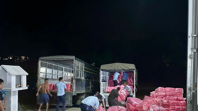 Bỉm trẻ em, băng vệ sinh Thạch Thảo... bị làm giả trắng trợn