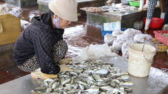 Ngộ độc nặng do ăn loại cá có chứa độc tố: 1 người tử vong, 4 người cấp cứu