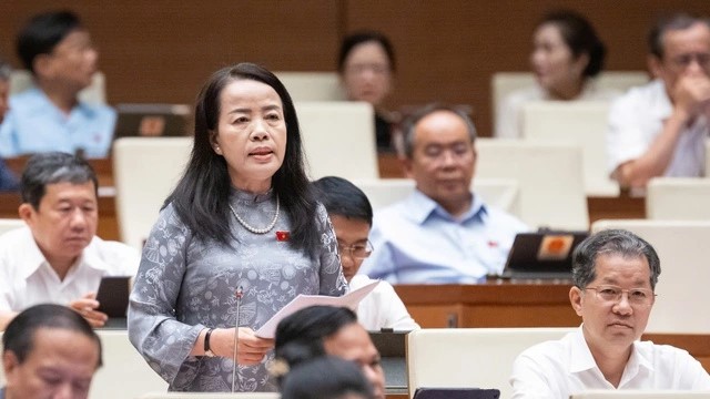 ĐBQH phản đối việc bỏ chất vấn chánh án, viện trưởng: ‘Nếu vậy, dân bị oan sẽ nhờ cậy ai chất vấn để bảo vệ quyền lợi của họ?’