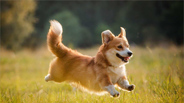 Tháng 7 Dương lịch, 3 con giáp đạp trúng hố vàng, phú quý giàu sang