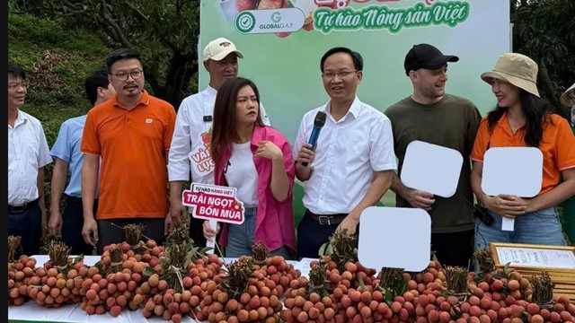 Phó Chủ tịch UBND tỉnh lên livestream ‘chốt đơn’ thành công 54 tấn nông sản, nhiều đơn đi Mỹ, Australia, Nhật Bản...