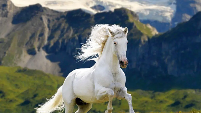 3 con giáp xui xẻo nhất tháng cô hồn và cách hóa giải tai ương