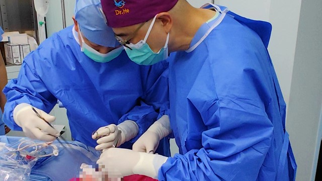 Lần đầu tiên thực hiện ghép phổi lợn cho người