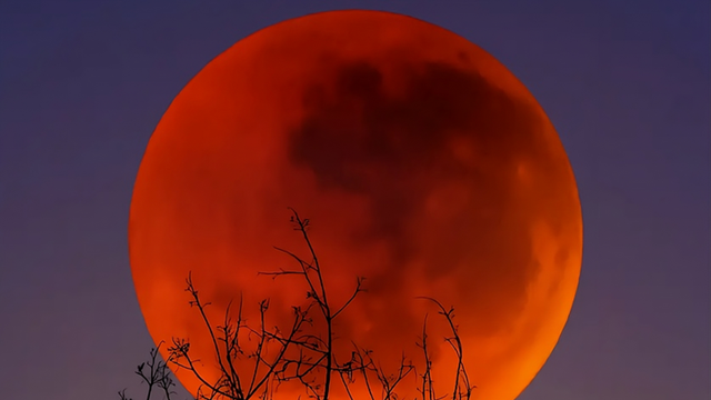 Một hiện tượng thiên văn kỳ thú sắp diễn ra, ở Việt Nam có thể theo dõi được