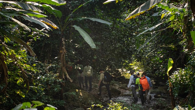 ‘Kho báu’ 500 tuổi nằm giữa Vườn Quốc gia nổi tiếng của Việt Nam sắp mở cửa đón khách