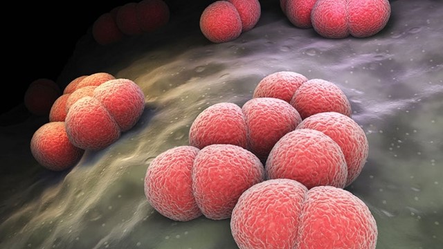 Hà Nội ghi nhận ca bệnh nguy hiểm lây qua đường hô hấp, có thể dẫn đến tử vong chỉ trong 24-48 giờ