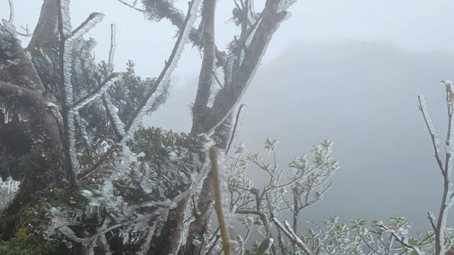 Ngay lúc này, Việt Nam xuất hiện băng tuyết