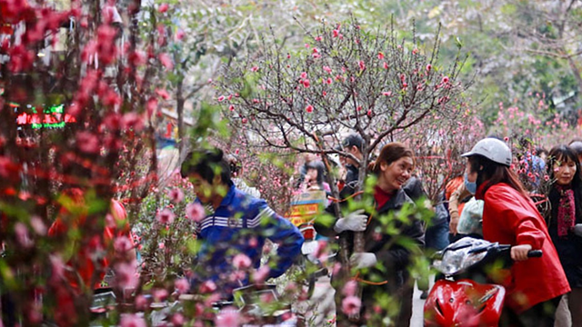 Lịch nghỉ Tết Nguyên đán 2026 chi tiết cho sinh viên: Một trường cho nghỉ tới 30 ngày