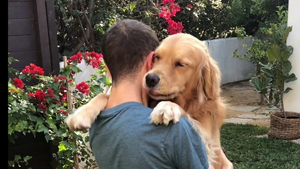 Phát hiện mới: Con người và chó có nhiều đặc điểm tâm lý, hành vi giống nhau