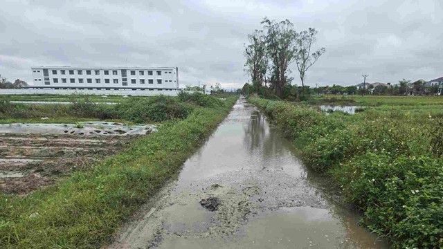 Ngôi trường gần 25 tỷ, từng bị bỏ hoang chính thức đi vào hoạt động