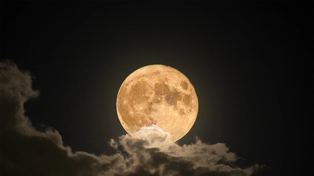 Đêm nay, Việt Nam đón siêu trăng đẹp nhất năm, trùng thời điểm mưa sao băng xuất hiện