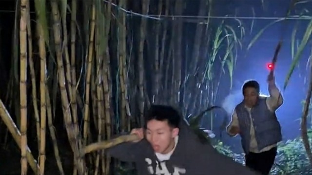 Trả tiền để được... trộm mía, dòng người ùn ùn kéo đến trải nghiệm cảm giác bị rượt đuổi