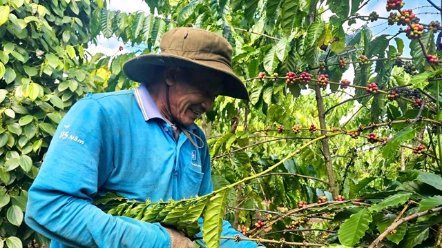 Di sản văn hóa phi vật thể của Việt Nam được đề xuất trình UNESCO ghi danh