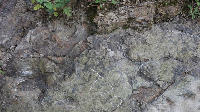 Phát hiện dấu chân khủng long có niên đại hơn 200 triệu năm ở nước cạnh Việt Nam