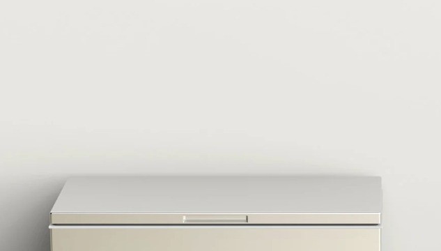 Hé lộ lời khai của người mẹ giấu thi thể con gái trong tủ đông suốt 20 năm