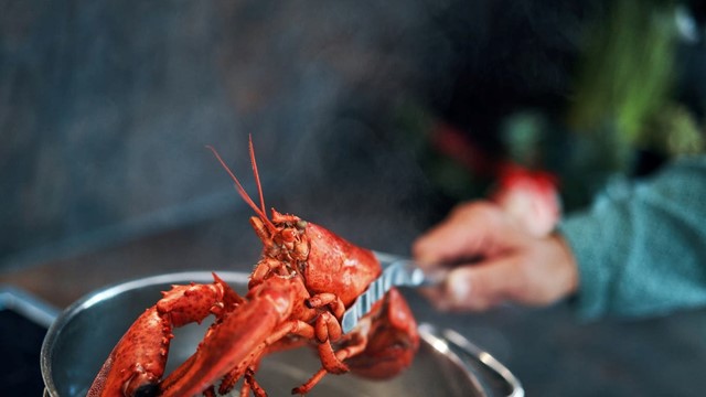 Một quốc gia cấm luộc cua, tôm hùm sống vì cho rằng chúng có thể cảm nhận đau đớn và khổ sở