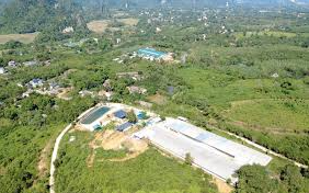 Đang đi ăn tất niên, 3 người đàn ông phát hiện bao tải chứa 1 tỷ đồng ở ven đường