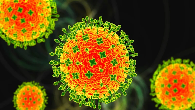 Những điều cần biết về loại virus Nipah nguy hiểm chết người