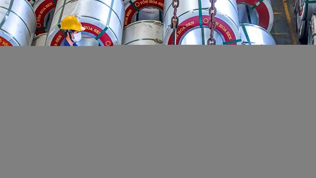 Hoa Sen (HSG): Mở rộng kinh doanh bất động sản, chi 1.250 tỷ đồng “gom” đất Long Thành