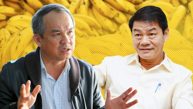 Đại gia cao su lấn sân nghề trồng chuối, cạnh tranh với bầu Đức và Thaco