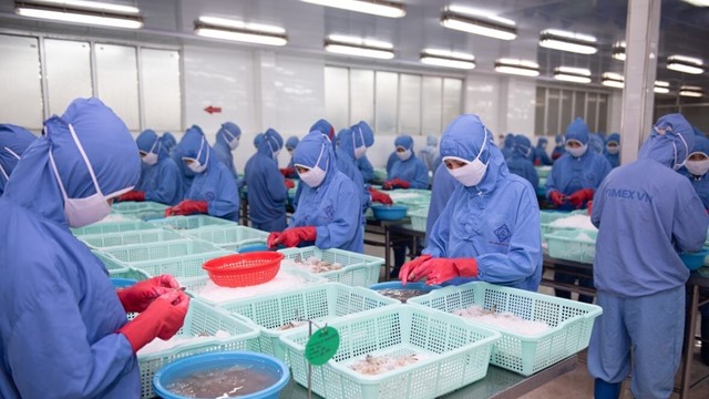 Thực phẩm Sao Ta (FMC): Doanh thu “giảm tốc” trong tháng 11, vay nợ tăng gấp đôi sau 9 tháng