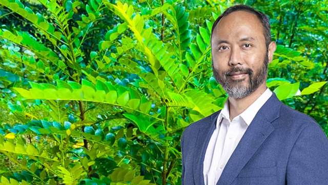 Phát hiện giống cây quý có thể hút 'kho báu' từ đất, láng giềng Việt Nam lập tức huy động công nghệ cao để khai thác triệt để