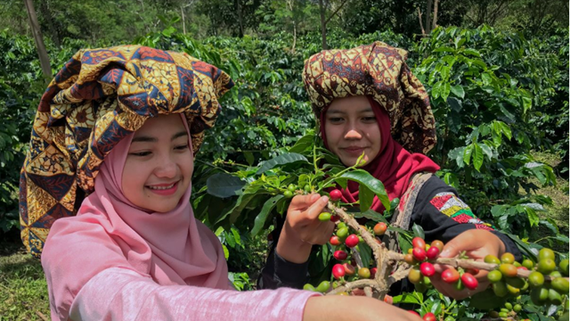 Nền kinh tế số 1 Đông Nam Á tham vọng đứng thứ 2 thế giới về cà phê, Việt Nam có bị vượt mặt?