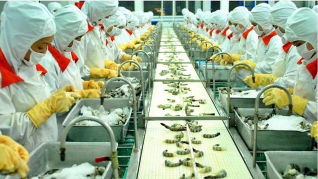 Việt Nam còn 31 ngày 'deal thuế' Mỹ: Xuất khẩu thủy sản chững lại trước giờ G, VASEP cảnh báo kịch bản xấu