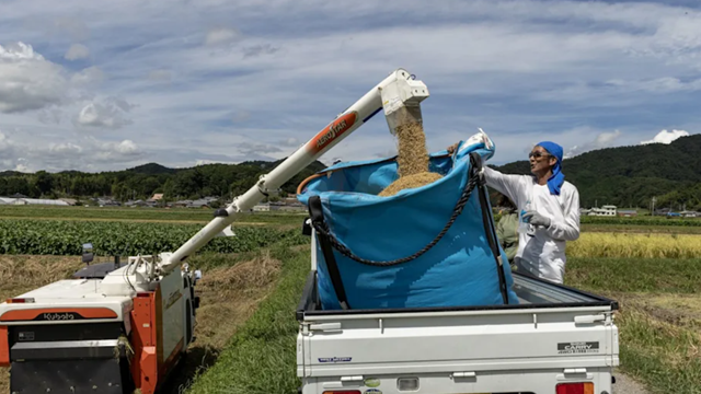 Mỹ dọa đánh thuế mới với Nhật Bản, tuyên bố hoàn tất các thỏa thuận thương mại với hàng loạt quốc gia sau ngày 4/7