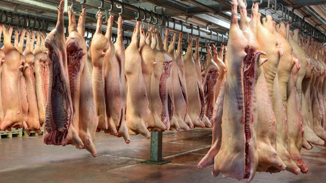 Thịt lợn Mỹ tràn ngập nền kinh tế lớn thứ 2 Đông Nam Á: Hơn 100.000 người lo thất nghiệp ‘sau một đêm’, Chính phủ bị chỉ trích dữ dội