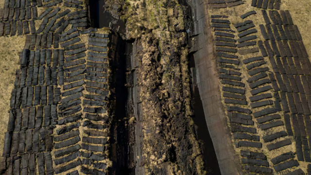 Phần lãnh thổ quan trọng biến mất với tốc độ không tưởng, thế giới có nguy cơ thiệt hại 39.000 tỷ USD