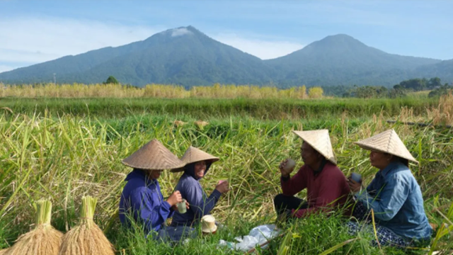 Bất ngờ ngừng nhập khẩu gạo và tự cung tự cấp chỉ sau 5 tháng: Nền kinh tế số 1 Đông Nam Á chính thức vượt mặt Việt Nam