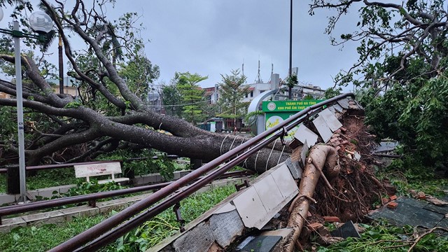 Hà Tĩnh sau bão số 5: Hơn 7.000 ngôi nhà bị hư hại, 10 người thương vong