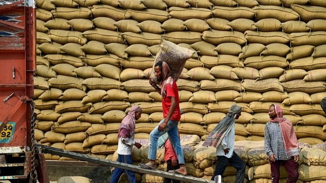 Giá gạo ở cường quốc xuất khẩu số 1 thế giới chạm đáy, Việt Nam có lợi thế lớn