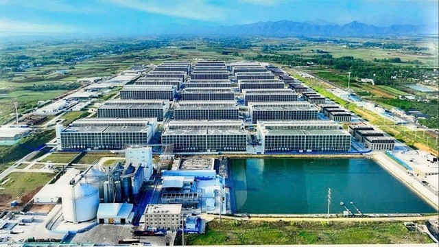 BAF và đối tác Trung Quốc làm 'chung cư nuôi heo' 12.000 tỷ đồng đầu tiên tại Việt Nam, Xuân Thiện, Dabaco... cũng muốn nhập cuộc