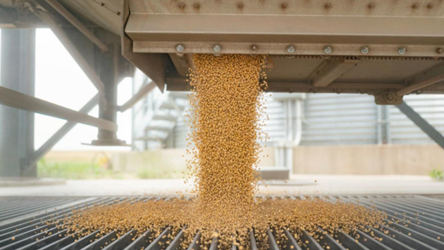 Trung Quốc 'giáng đòn' trực diện vào 'hạt vàng' đem lại nguồn thu khổng lồ cho Mỹ, ông Trump tức giận lên tiếng