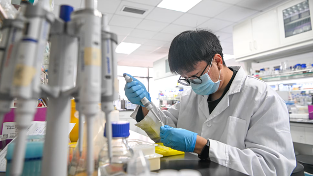 Gần 90 nhà khoa học nổi tiếng rời Mỹ chọn về nước cống hiến, chuyện gì đã xảy ra? 