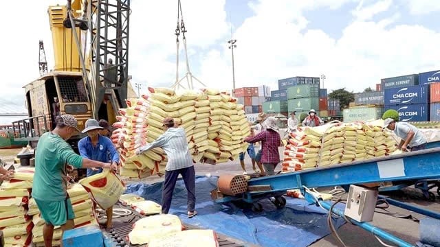 Hai nền kinh tế top đầu Đông Nam Á cấm nhập khẩu gạo, Việt Nam thiệt đơn thiệt kép