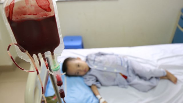 Hơn 12.000.000 người Việt Nam mang gen bệnh tan máu bẩm sinh