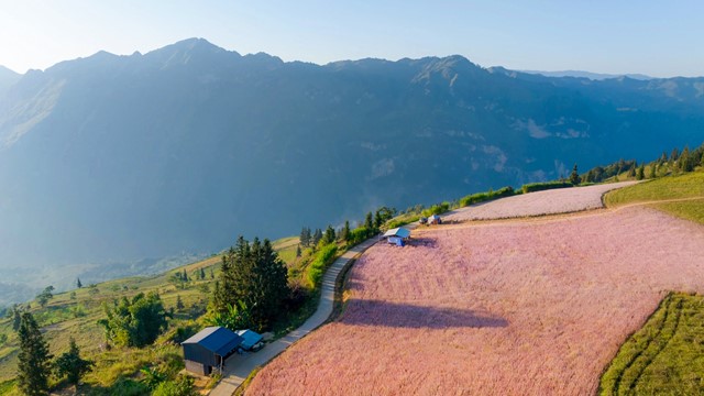 Nơi duy nhất của Việt Nam được tạp chí Anh vinh danh ‘đẹp nhất thế giới’, sở hữu thảo nguyên đẹp như Thụy Sĩ